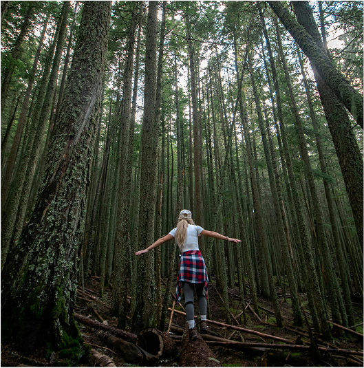 Woman hiking through a tall European forest, guided solo adventure with Gutsy Girls