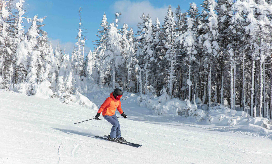 Woman alpine skiing downhill on a snowy piste through a pine forest in winter mountains