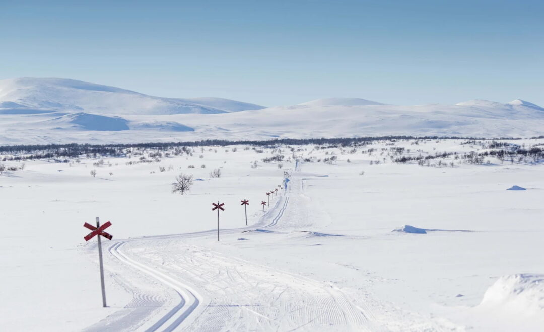 Cross-country ski tracks winding through snowy countryside in winter landscape
