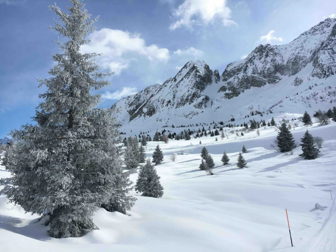 Snow-covered Alpine valley with cross-country ski tracks and poles, pine trees and mountains in spring.
