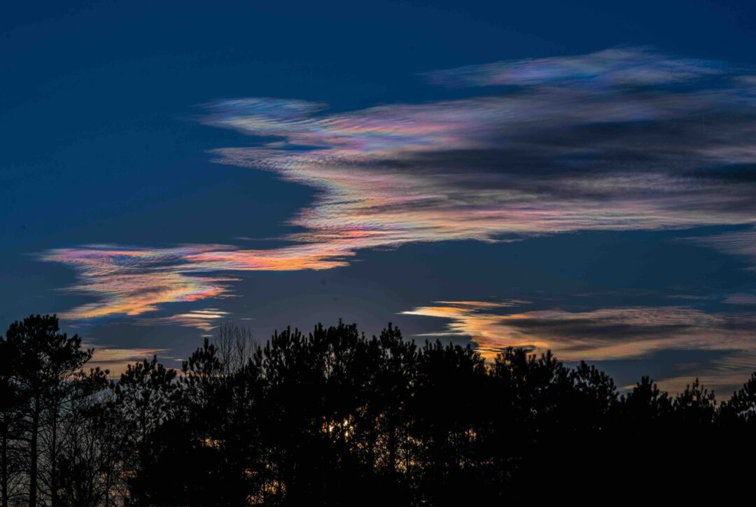 Nacreous clouds over a dark forest at twilight, with blue and pink streaks across the sky
