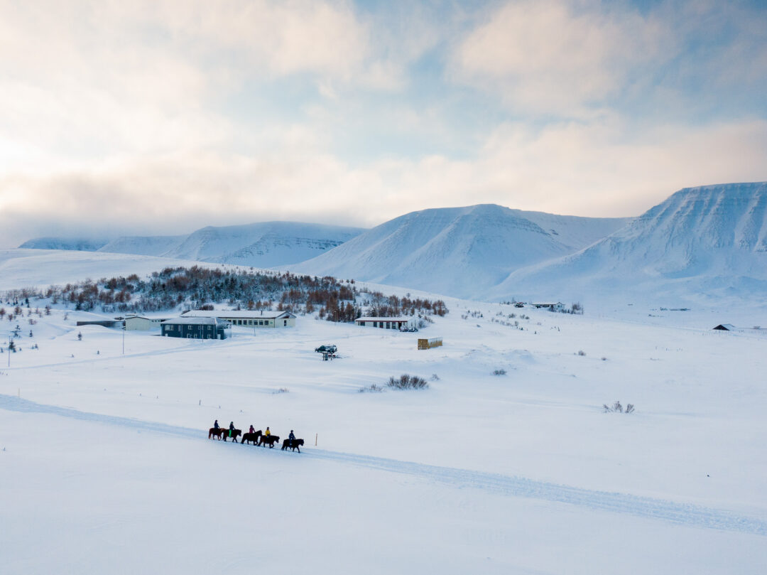 Dog sled team travelling through snowy mountain landscape with cabins under a cloudy sky