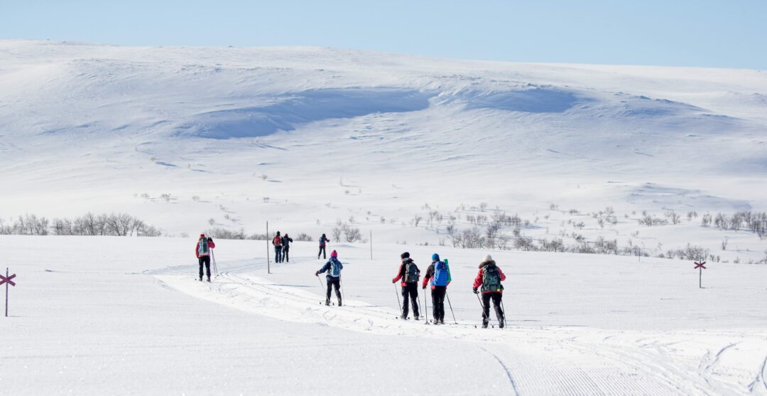 Women cross-country skiing in snowy countryside, Sweden, with ski trail markers in the foreground