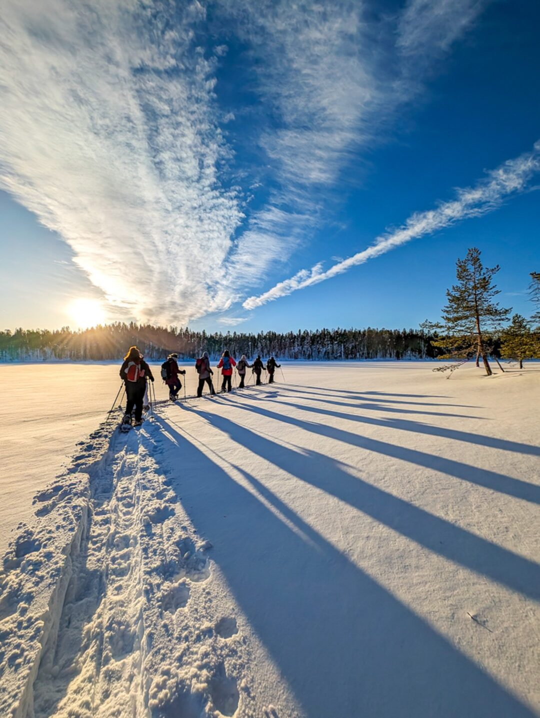 Women cross-country skiing on a snowy trail through a Finnish forest at sunrise