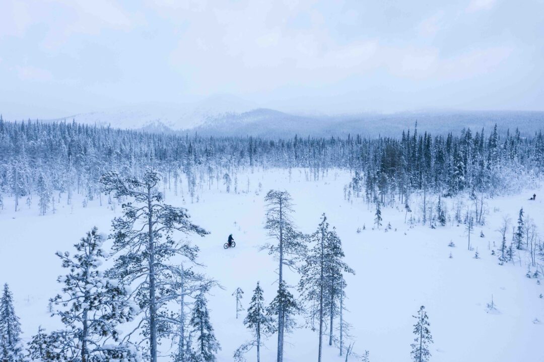 Fat bike rider in a snowy conifer forest across a frozen landscape