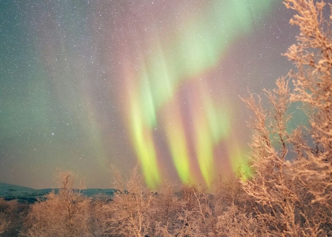 Northern lights (aurora borealis) over a winter forest and hills at night
