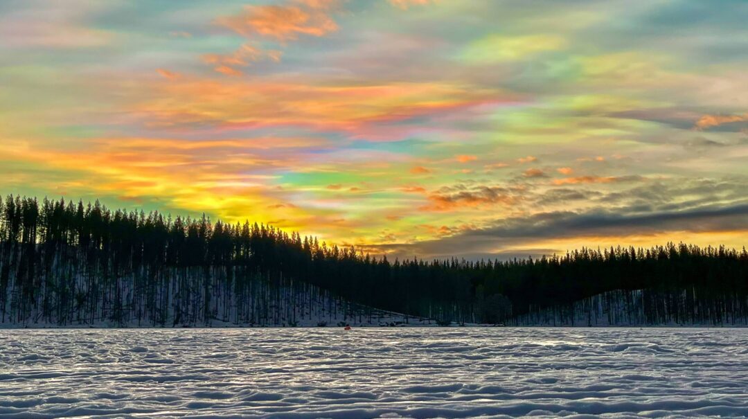 Snowy winter landscape with a pine forest at sunset, clear sky over a frozen track