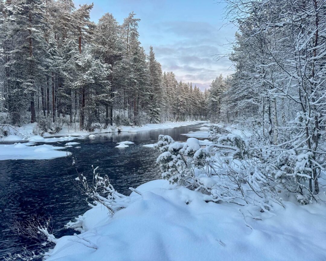 Snow-covered forest river with frosted trees along the banks in winter landscape