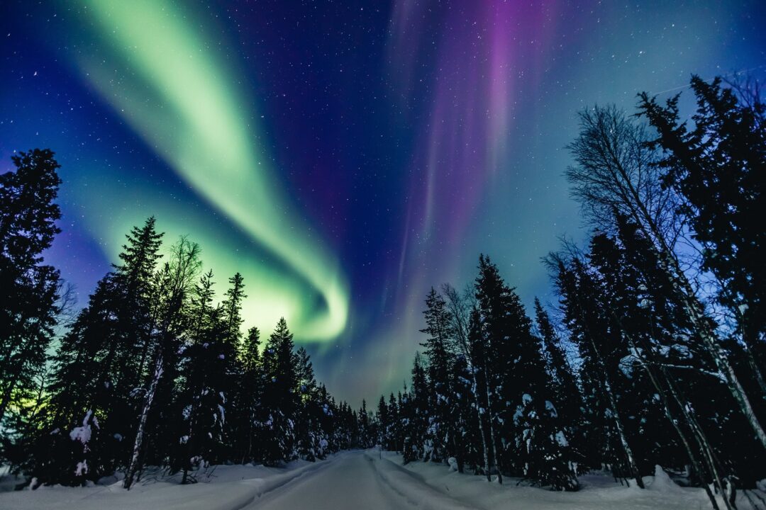 Northern Lights (aurora borealis) over snowy road and pine trees at night