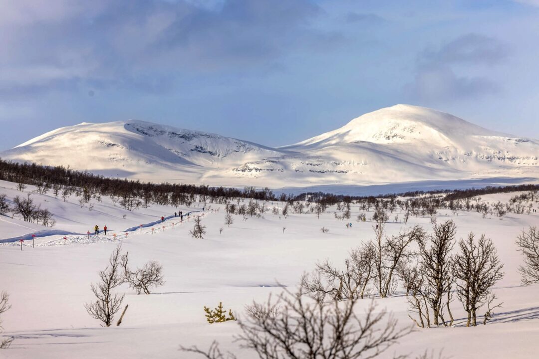 Snowy mountain valley with ski tracks and skiers, framed by winter trees and peaks