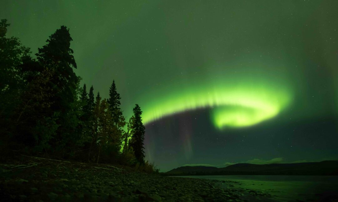 Green northern lights over a dark forest and lake at night, with faint stars in the sky