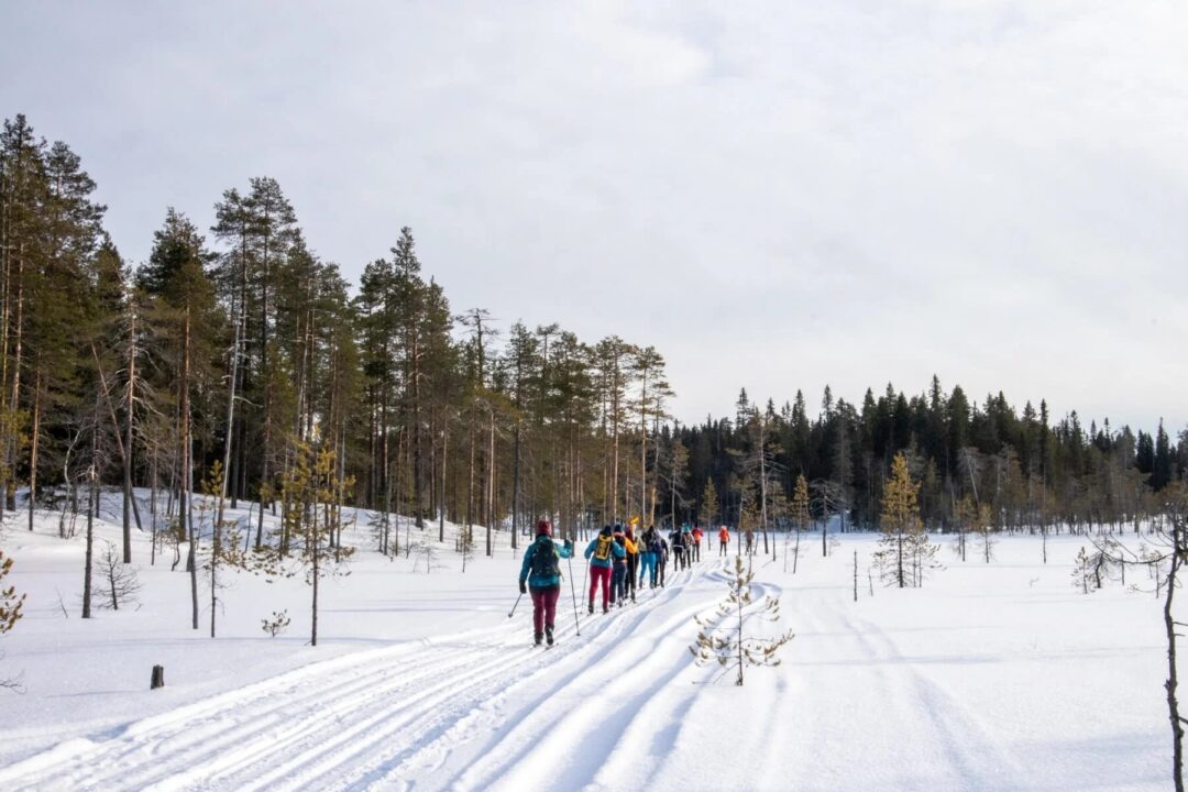 Women walking on a snowy forest trail, snowshoeing in winter woods