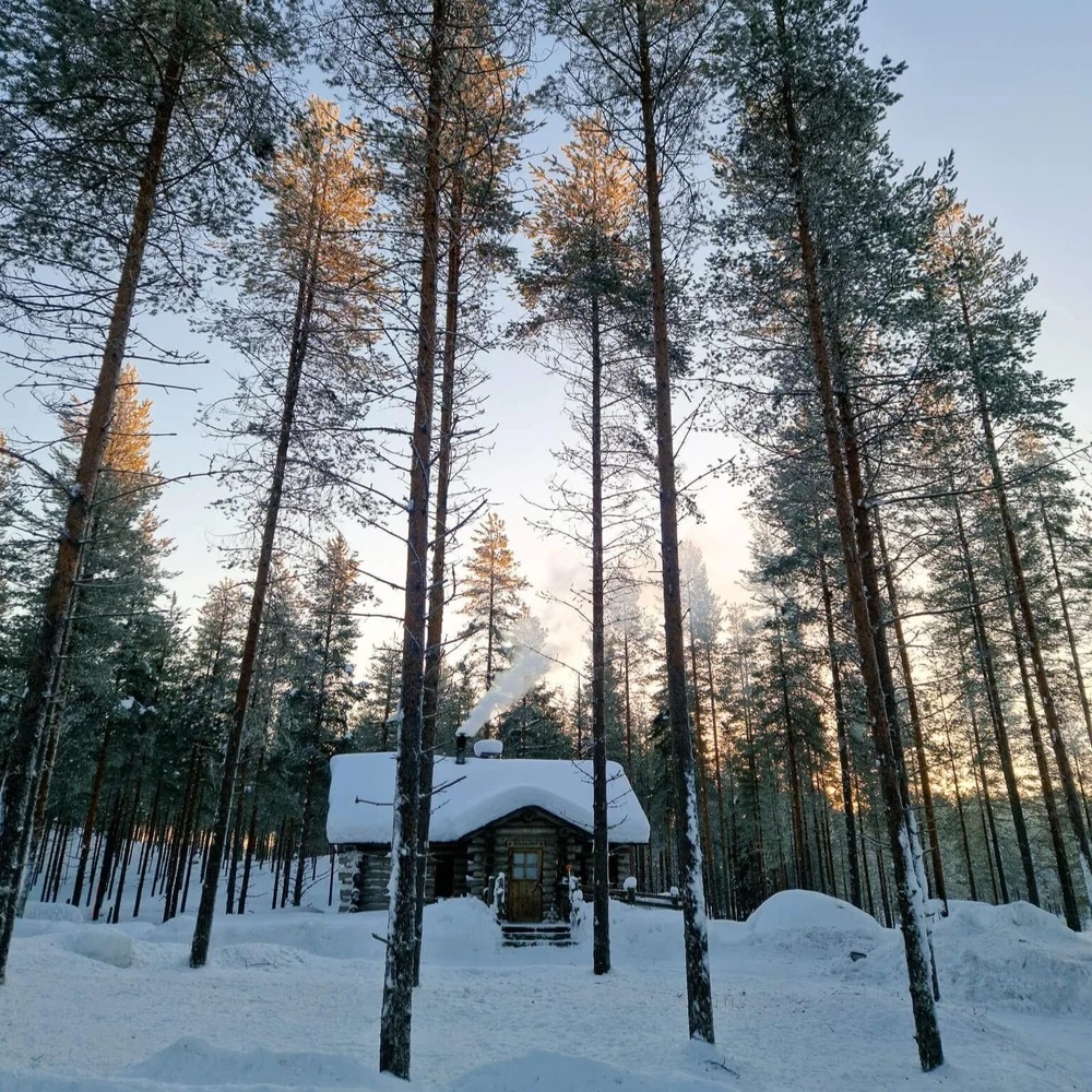 Snow-covered forest with a small wooden cabin at sunrise, surrounded by tall pine trees in winter