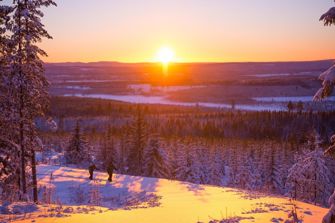 Snowy Lapland landscape at sunset with pine trees, frozen fields and a river valley in winter light