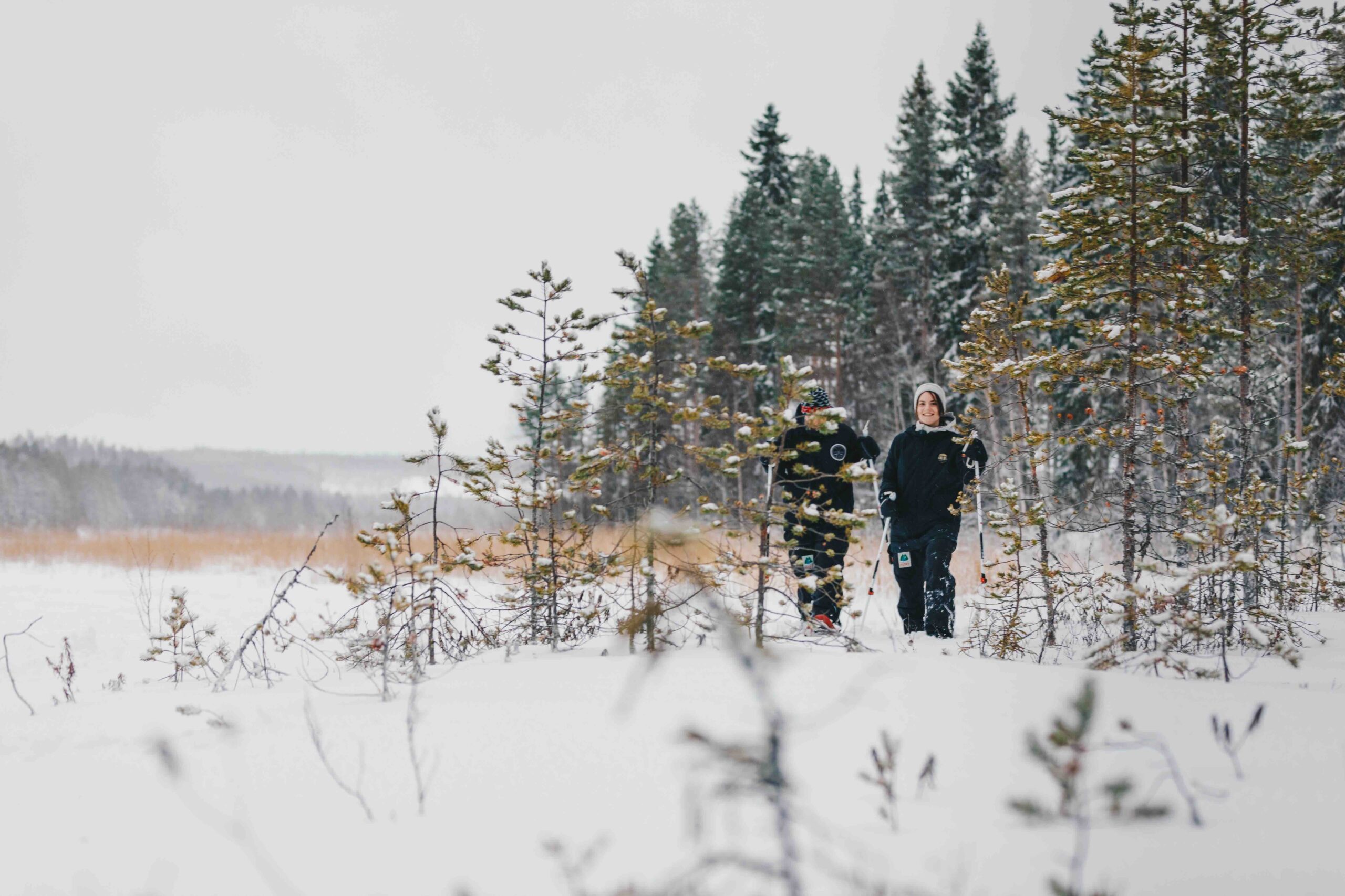Person walking through a snowy pine forest in Lapland, carrying a small decorated Christmas tree