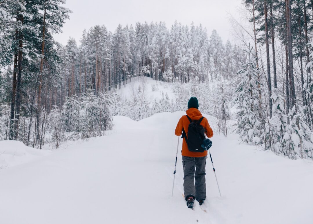 Solo skier trekking through snowy Swedish Lapland forest with skis and poles.