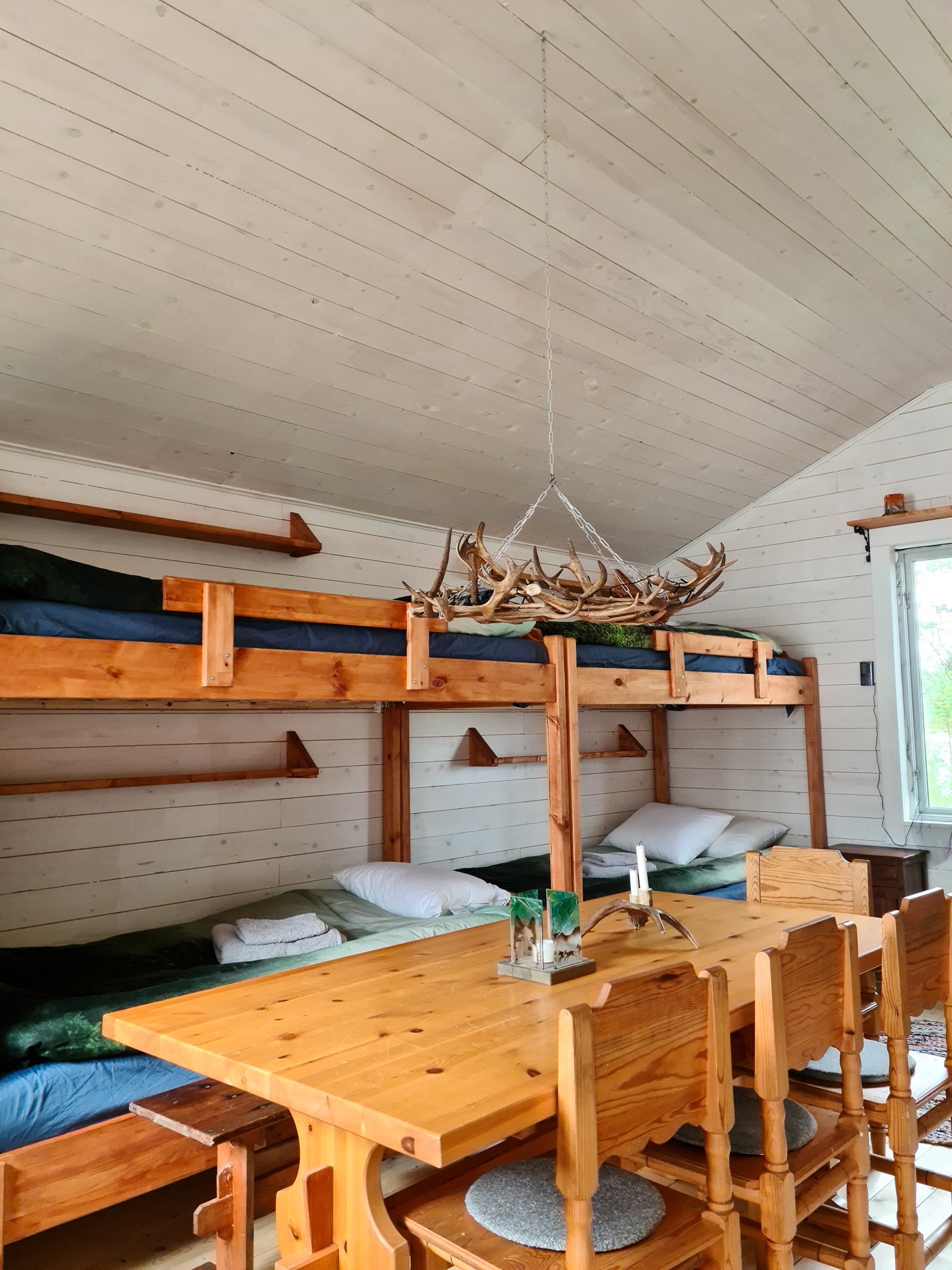 Wooden lodge interior with mounted reindeer antlers above sleeping bunks, set for a dog sledding stay