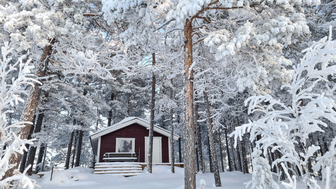 Snow-covered forest with a small red wooden cabin and tall pine trees, winter landscape