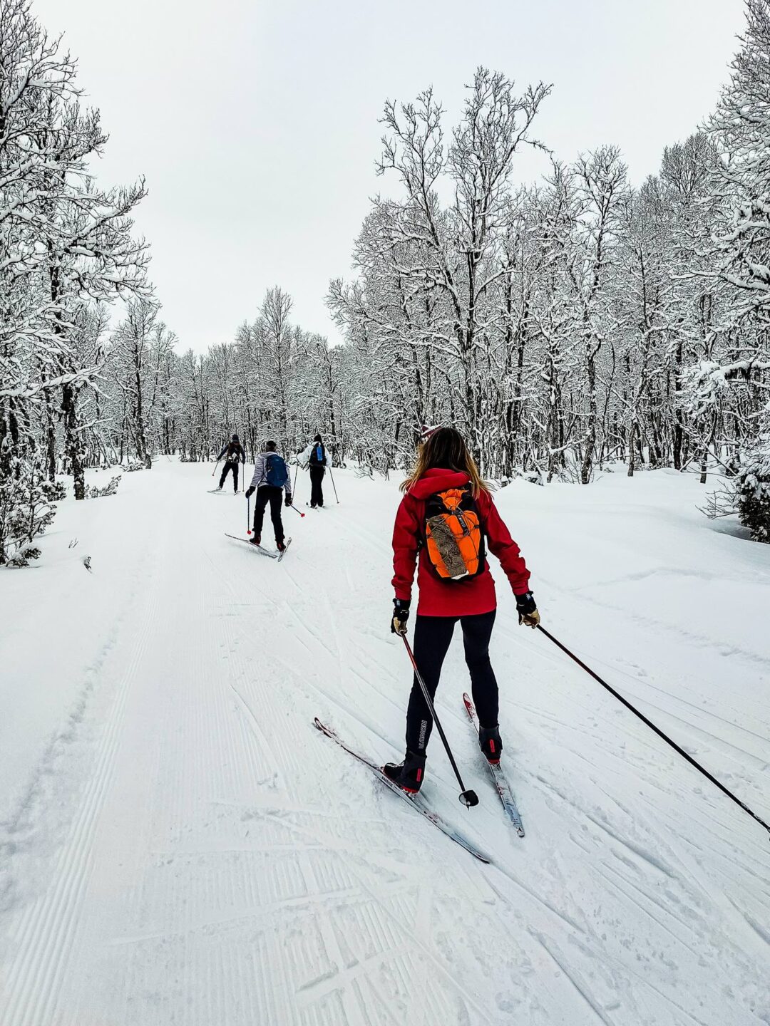 Women cross-country skiing on a snowy track through a winter forest