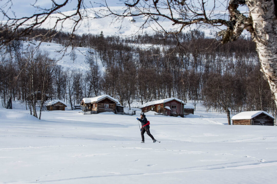 Cross-country skier gliding in snowy Swedish countryside past wooden cottages and fir trees