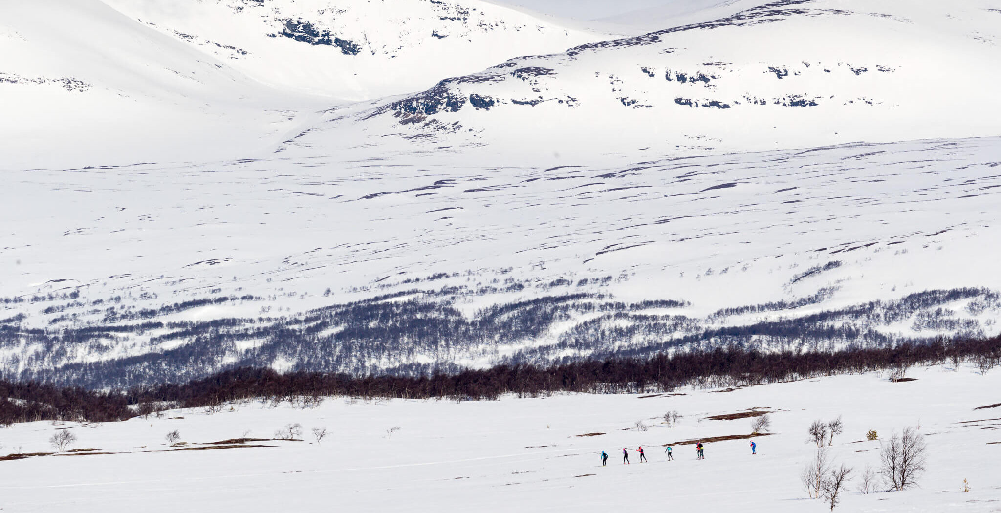 Cross-country skiers glide across snowy Swedish mountainside in a winter valley under fresh snowfall