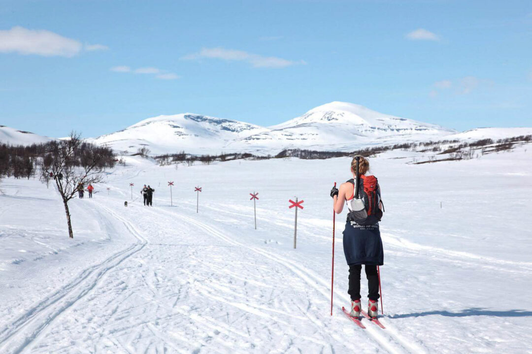 Beginner cross-country skier on a groomed snow trail with poles, back view, Swedish mountains under blue sky