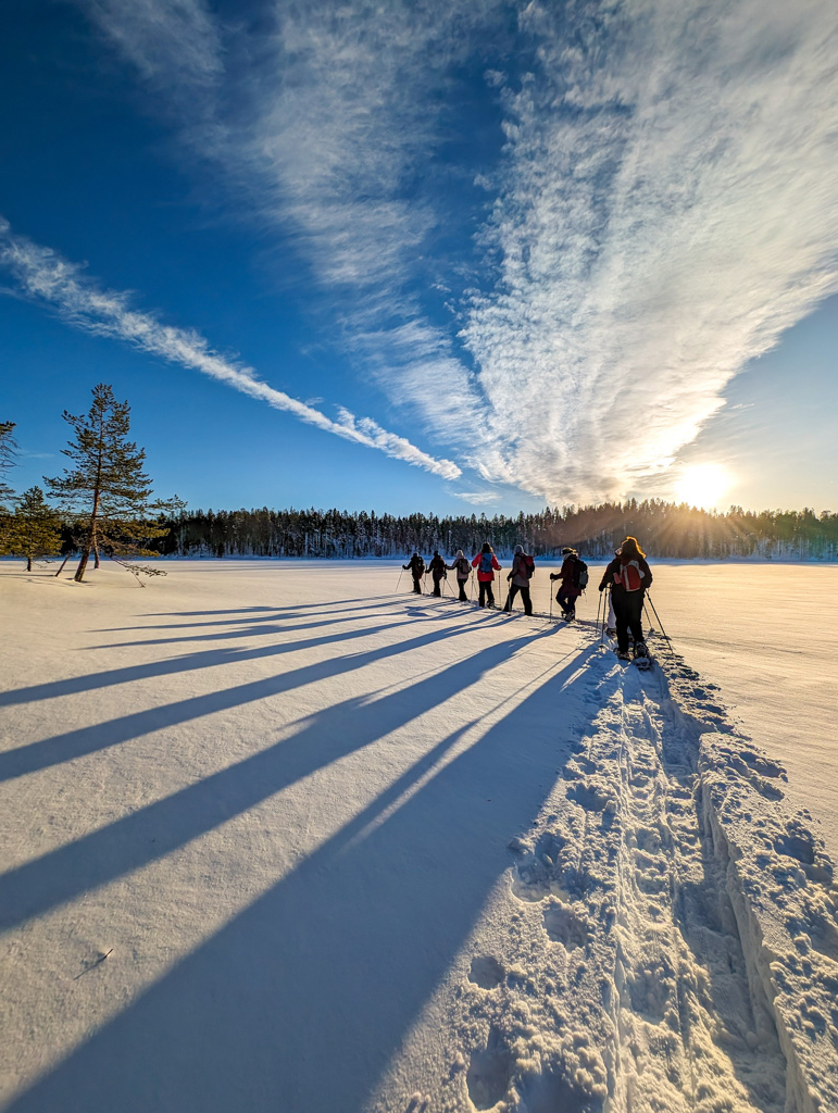 Wilderness Snowshoeing Adventure in Finland hero