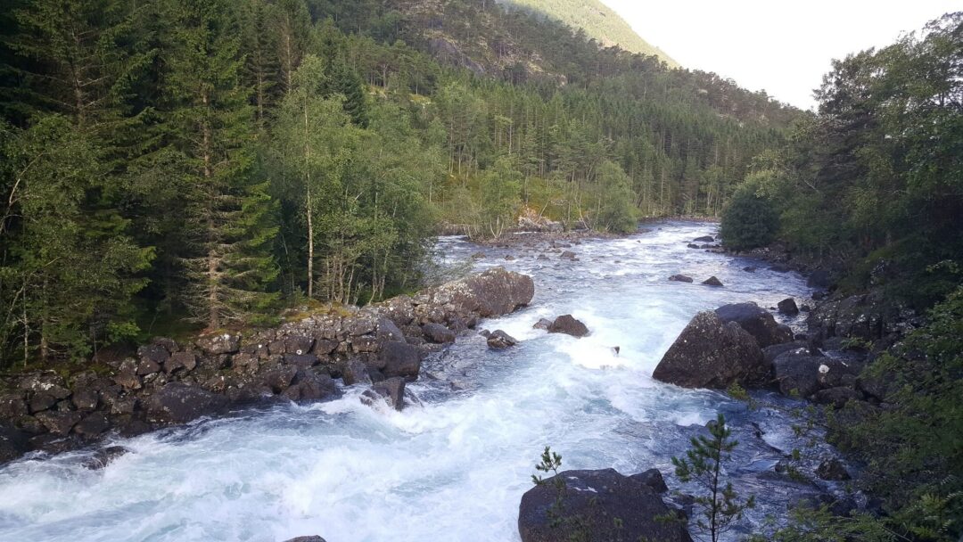 River rapids through a forest valley in Norway’s national parks, with mountains in the background