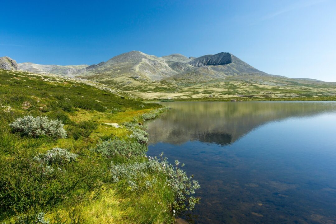 Serene Norway hiking landscape: still lake beside green valley and mountain peaks under a blue sky.