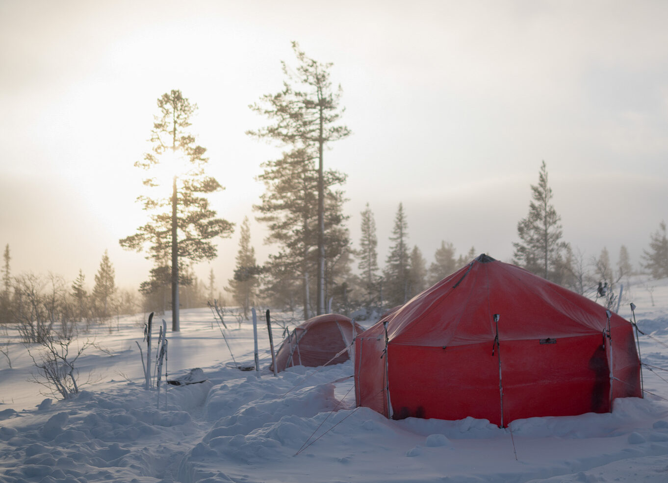 Red tent in snowy forest campsite during winter camping in the backcountry