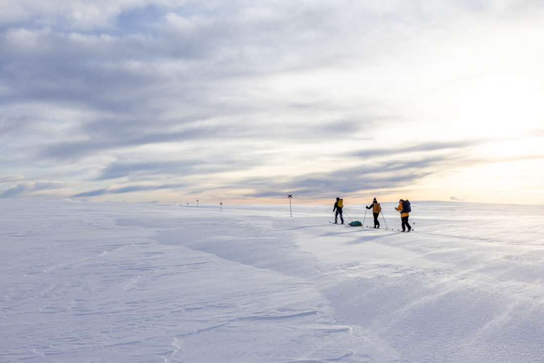 Women cross-country skiing across a snowy landscape in Sweden at dusk