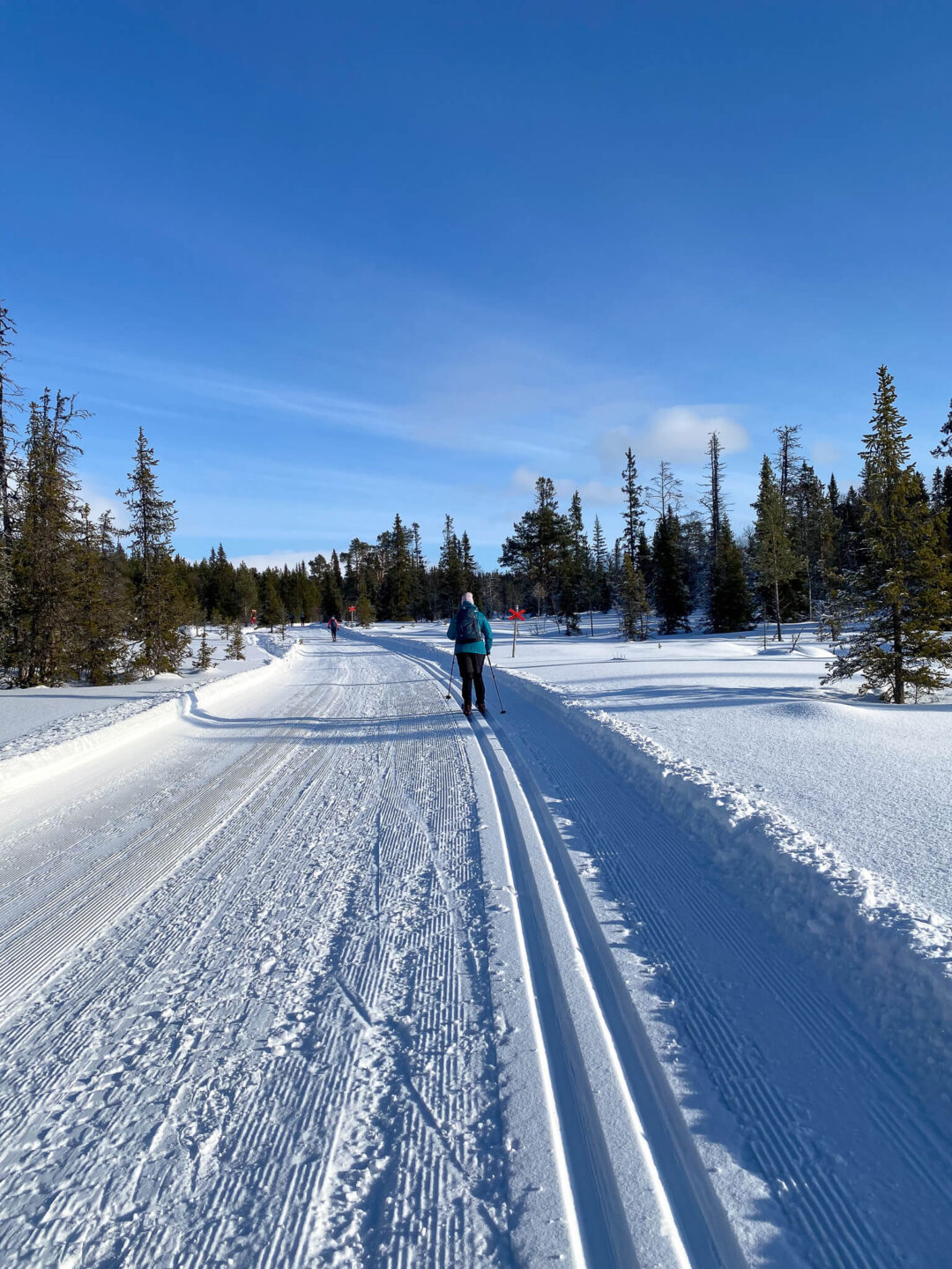Beginner cross-country skiing on a snowy trail through Swedish pine forest under clear blue skies
