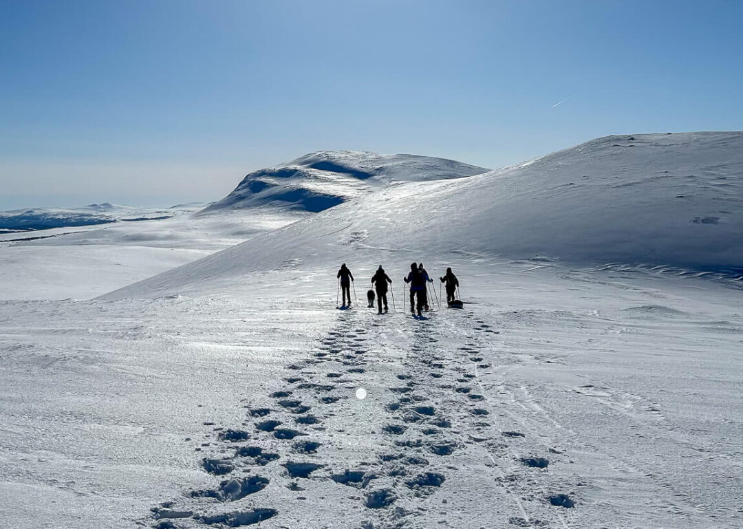 Beginner cross-country skiers walking on snowy Sweden tracks through mountain valleys under clear blue skies