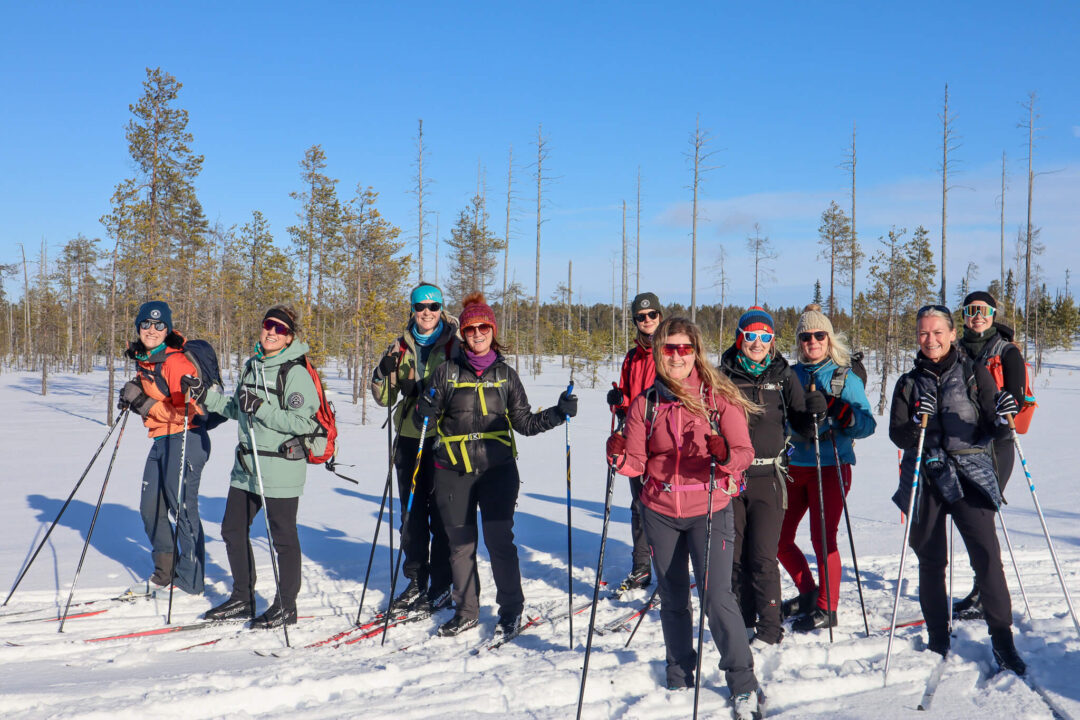 Group of cross-country skiers on snowy trails in a Finnish forest, blue sky winter landscape