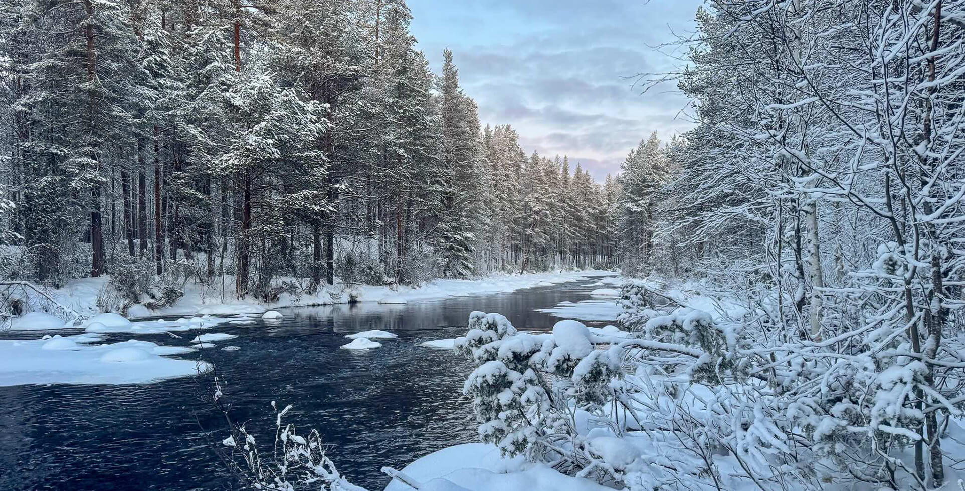 Snowy conifer forest river in winter, with snow-covered banks and bare branches along the water’s edge.