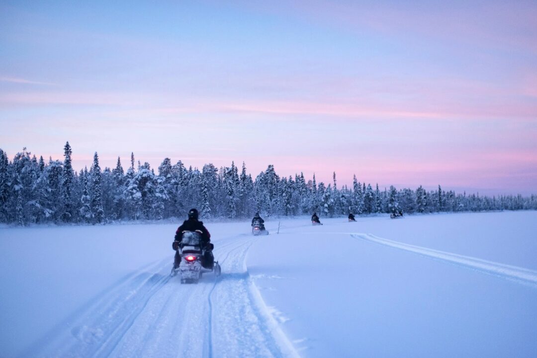 Dog sled speeding across snowy Lapland track at dawn, with a musher driving through a pine forest.