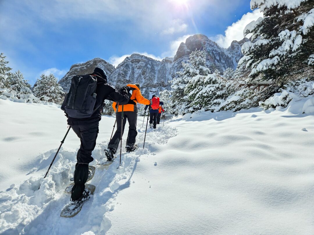Women snowshoeing along a snowy mountain trail in winter, with pine trees and rocky peaks under blue sky