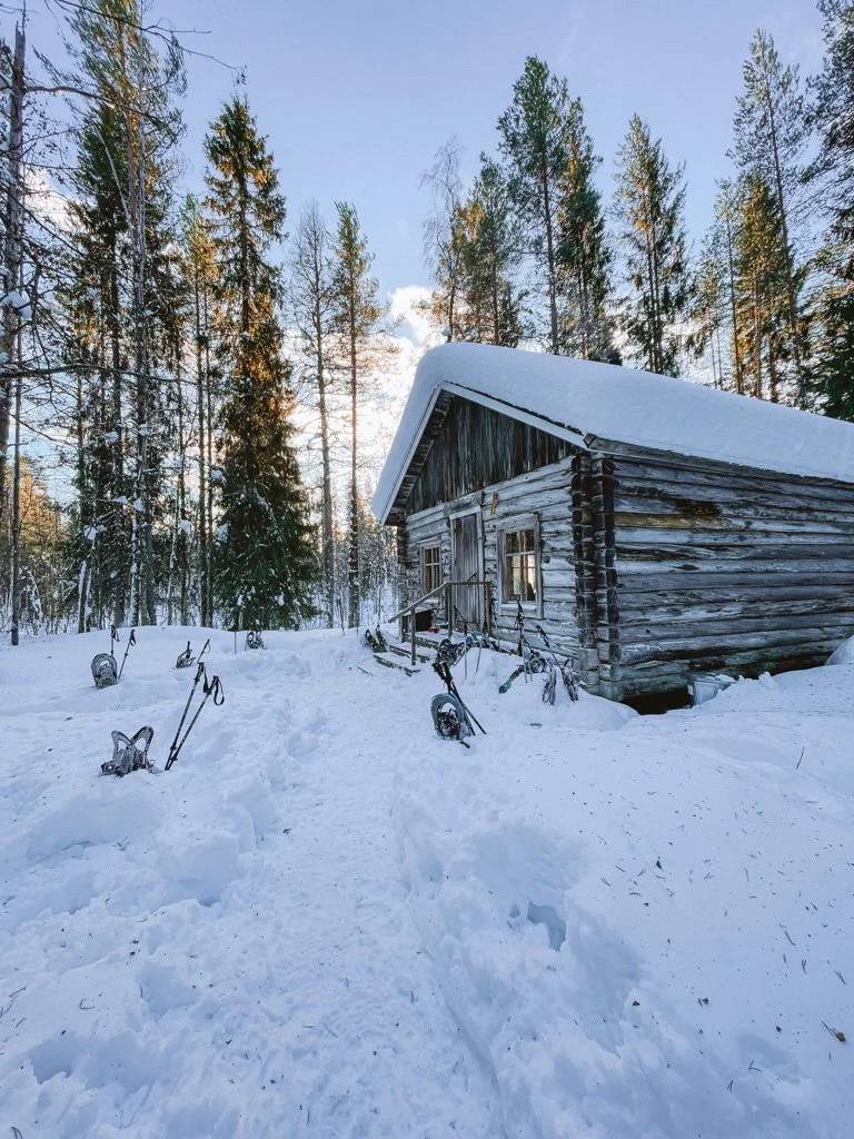 Snow-covered log cabin with snowshoes in the Finnish winter wilderness among pine trees