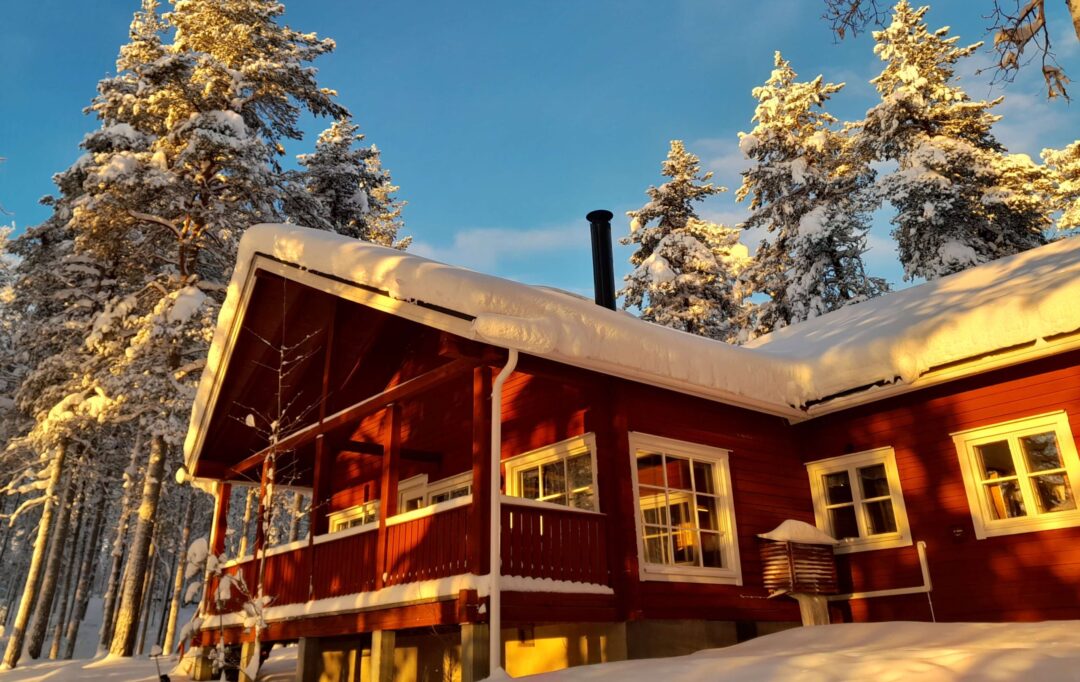 Cozy wooden sauna cabin in snowy Finland, surrounded by frosty pine trees in winter evening light.
