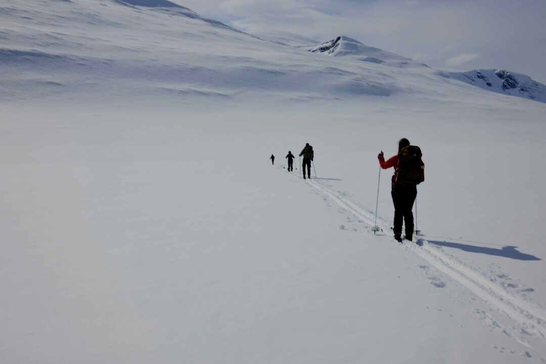 Woman skiing cross country on a snowy mountain slope with a group, with peaks in the background.