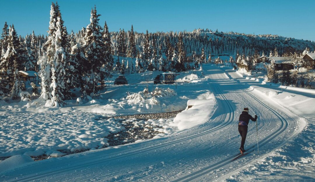 Woman cross-country skiing on a snowy groomed track through a winter forest with cabins in the background