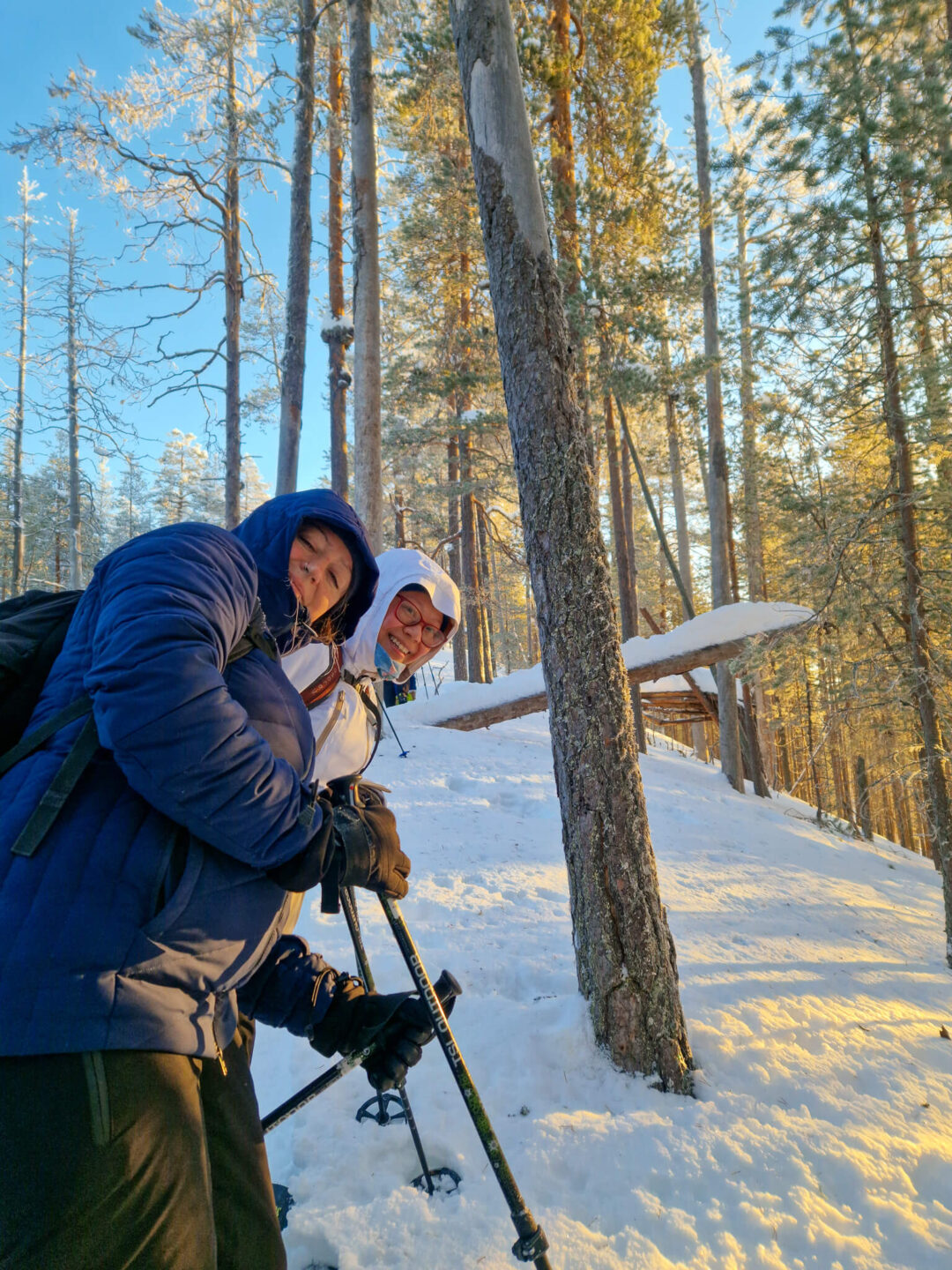 Snowshoers trekking through a snowy pine forest in Finland on a winter trail at sunrise