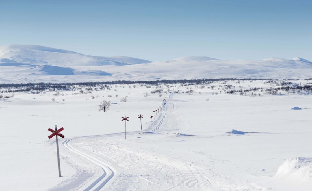 Snowy landscape with ski tracks and signs in Sweden