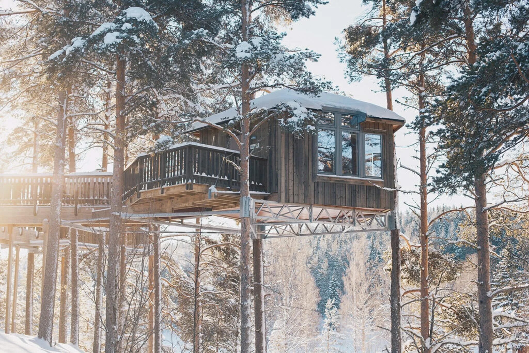 Snowy wooden cabin in the trees, elevated on stilts, surrounded by a winter forest in Lapland