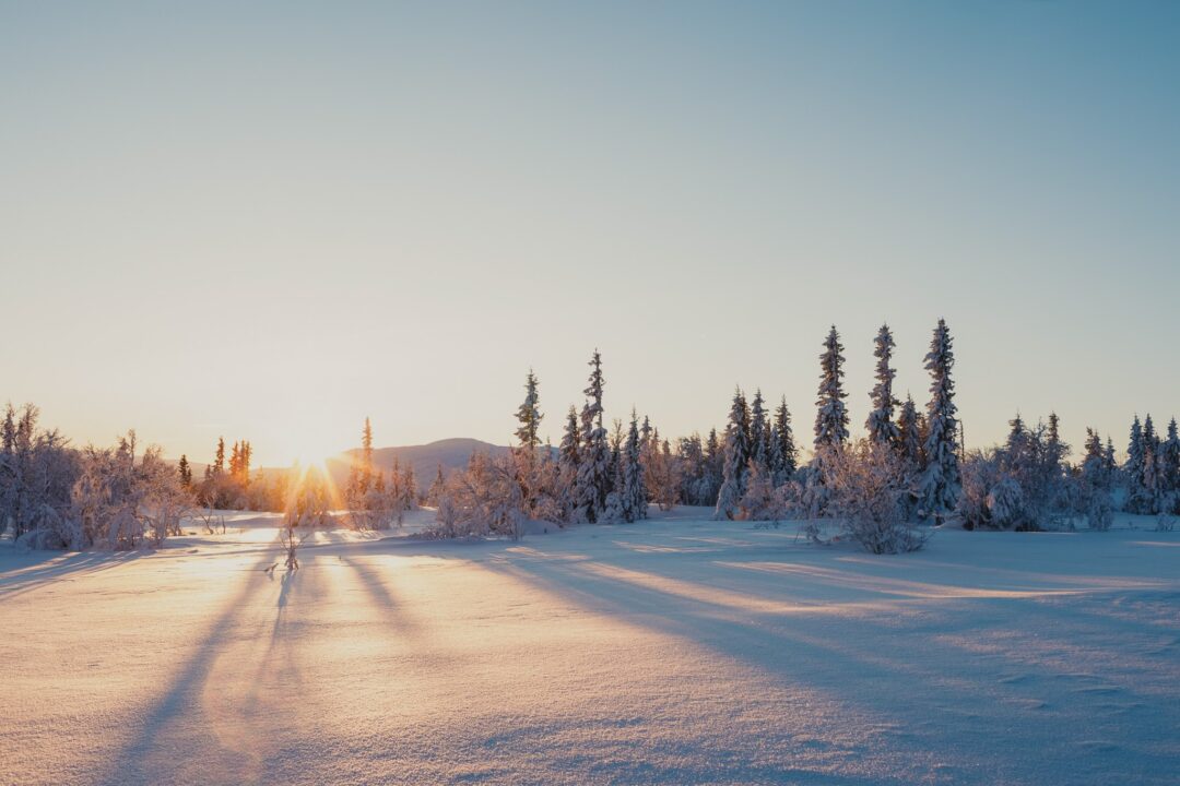 Snowy ski slopes at sunrise in Sweden with tracks across a winter forest landscape