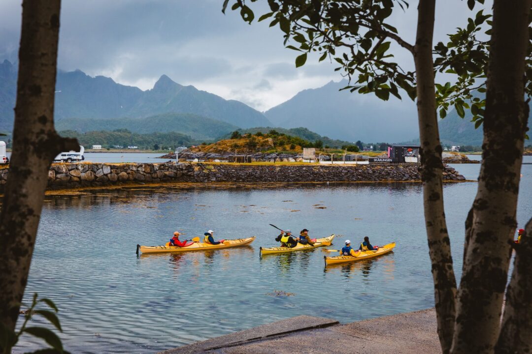 Kayakers paddle on a calm fjord near Lofoten, framed by trees with mountains and harbour buildings in view