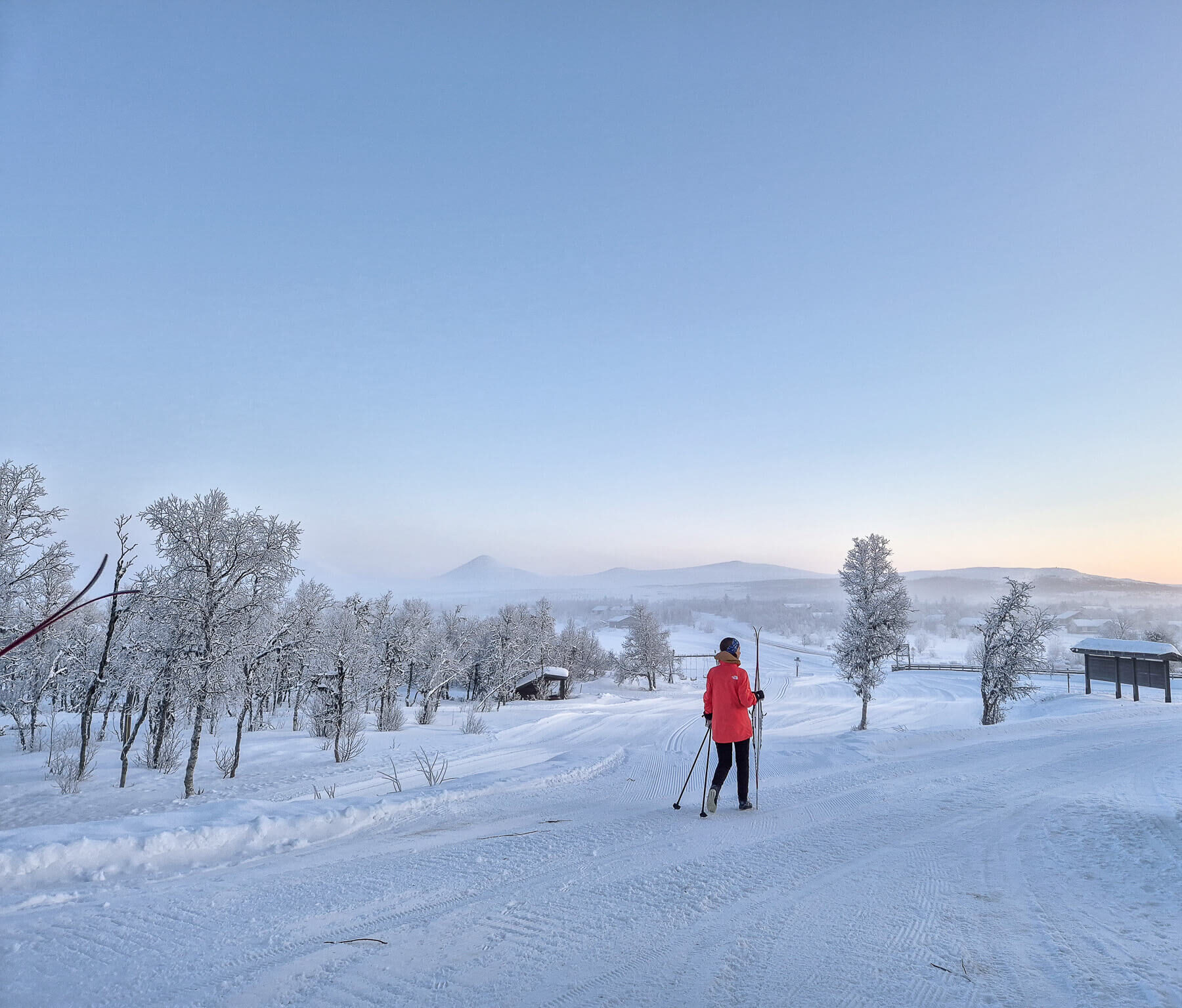 Cross-country skier on snowy Norwegian countryside tracks at sunrise, gliding past frosted trees and cabins