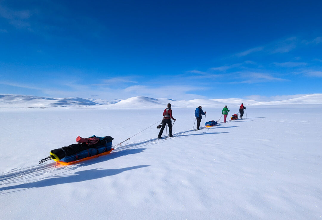 Hikers on a remote Arctic ski route, pulling sleds across the snow under a clear blue sky