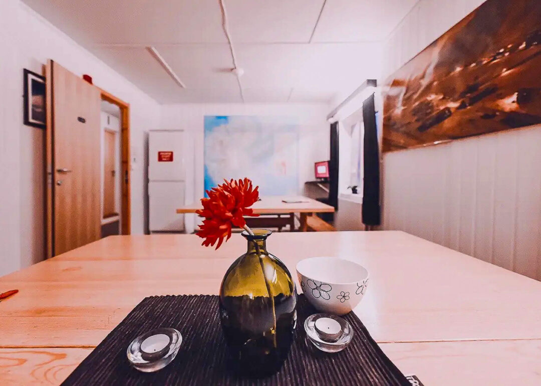 Red flowers in a vase on a table in a bright corridor with doors and a snowmobile-themed room decor