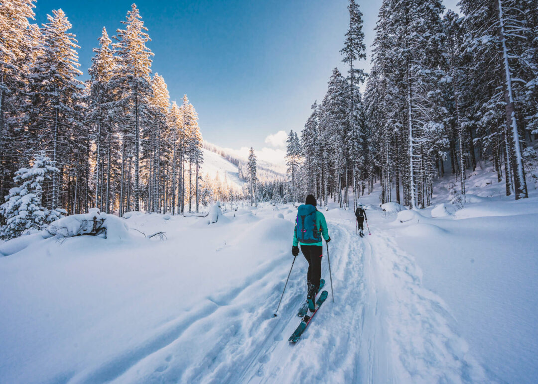 Ski tourer skiing along a snowy forest trail in Sweden at sunrise